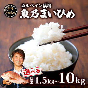 【ふるさと納税】 コシヒカリ 1.5kg~ 10kg ブランド米 魚乃まいひめ カルペイン栽培 選べる 容量 計1.5kg (2合×5袋) ~ 計 10kg ( 5kg × 2袋) 精米 秀長水産 米 環境保全 カルペイン 鯛 真鯛 こめ コメ 小分け 弁当 おにぎり 美味しい 甘い 備蓄 産地直送 国産 愛媛 宇和島