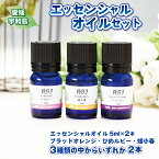 【ふるさと納税】 エッセンシャルオイル セット 5ml×2本 ひめ美じん 柑橘アロマ ブラッドオレンジ ひめルビー 媛小春 アロマオイル グッズ アロマディフューザー 香り リラックス アロマ アロマランプ オイル 芳香 癒し ギフト プレゼント 国産 愛媛 宇和島 K020-078001