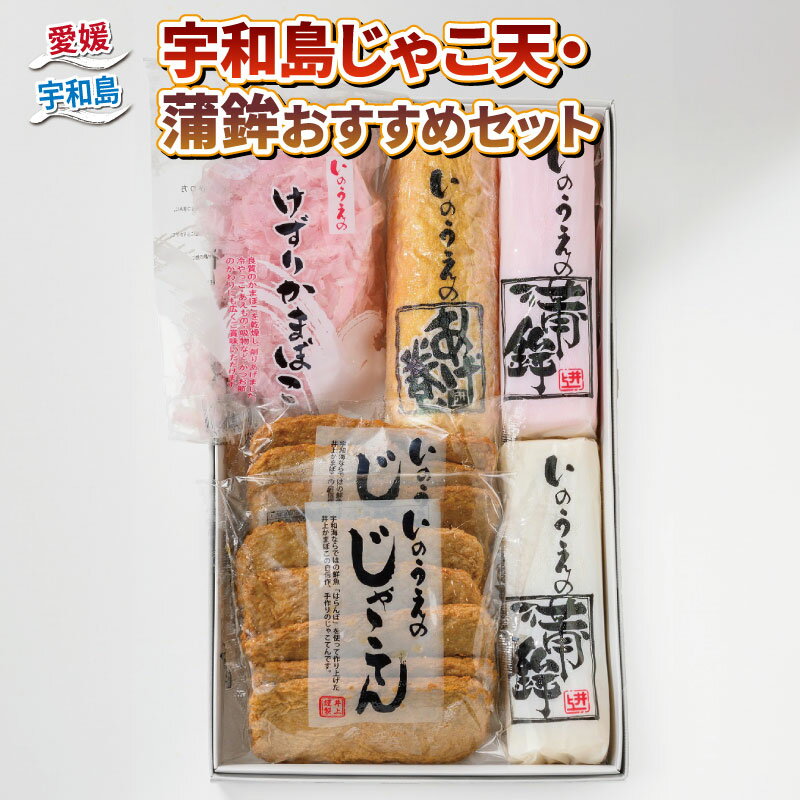 【ふるさと納税】 宇和島 じゃこ天 蒲鉾 おすすめ セット 井上蒲鉾本舗 手押しじゃこ天 蒲鉾小板 じゃ...