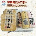 【ふるさと納税】 \10営業日以内発送/ 手押し じゃこ天 蒲鉾 おすすめ セット 井上蒲鉾本舗 手押しじゃこ天 蒲鉾 揚げかまぼこ 揚巻 じゃこ竹輪 ちくわ ...
