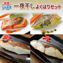 【ふるさと納税】 \10営業日以内発送/ 干物 セット 一夜干し よくばりセット 真鯛 カンパチ アジの開き 詰め合わせ こもねっと バジル トマト 麦味噌 藻...