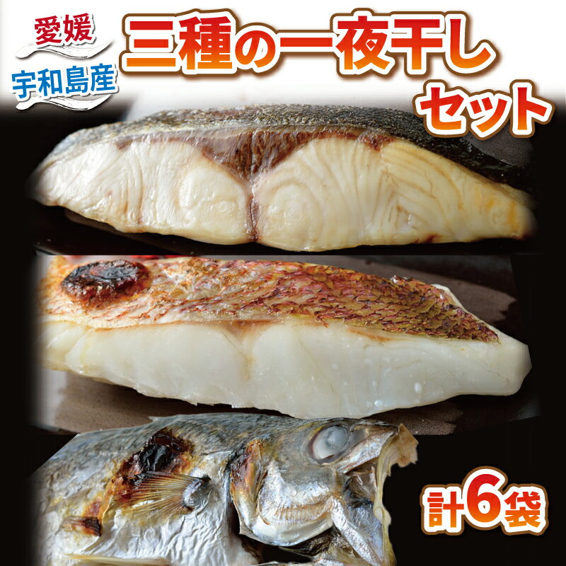 干物 3種 一夜干し セット 6枚 こもねっと 冷凍 真鯛 鯛 マダイ タイ カンパチ 鯵 アジ 魚 海鮮 ひもの 詰め合わせ 焼くだけ 簡単調理 一人暮らし 小分け 真空パック 産地直送 国産 愛媛 宇和島