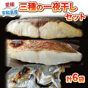 【ふるさと納税】 \10営業日以内発送/ 干物セット 干物 3種 一夜干し 6枚 こもねっと 真鯛 鯛 マダイ タイ カンパチ 干物 アジ 魚 冷凍 海鮮 新鮮干物 宇和海産干物 藻塩 干物ひもの 和食 焼くだけ 簡単調理 便利 小分け 真空パック 産地直送 国産 愛媛 宇和島 D010-008002