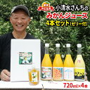 【ふるさと納税】 みかん ジュース 720ml ×4本 ゼリー 175g 1個 小清水農園 果汁 飲料 柑橘 みかん 蜜柑 無添加 みかんジュース ストレートジュース 100%ジュース ストレート 果物ゼリー ジュレ 果物 フルーツ 産地直送 数量限定 国産 愛媛 宇和島 H013-033001