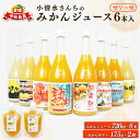 【ふるさと納税】 みかん ジュース 720ml ×6本 ゼリー 175g ×2個 小清水農園 愛媛みかん 温州みかん 温州 mikan 果物 くだもの 果汁 飲...