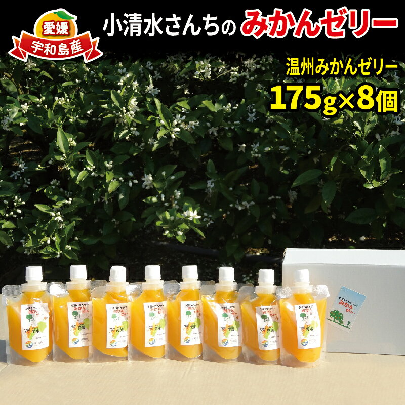 10位! 口コミ数「3件」評価「5」 小清水さんちの みかん ゼリー 175g ×8個 小清水農園 温州みかん みかんゼリー フルーツゼリー 果物ゼリー 果汁 ジュレ 小分け ･･･ 