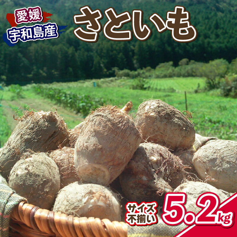 【ふるさと納税】 さといも 5.2kg サイズ 不揃い 御槇米生産協議会 里芋 芋 いも 煮付け 芋炊き 芋煮 ..