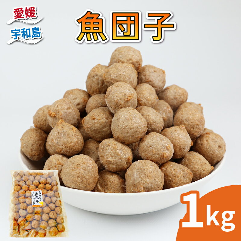 【ふるさと納税】 魚団子 1kg 宇和島練り物工房みよし 魚団子 すり身 練り物 惣菜 出汁 だし 酒 おつまみ 肴 魚肉 水産 加工品 特産品 郷土料理 国産 愛媛 宇和島 C010-061009のサムネイル