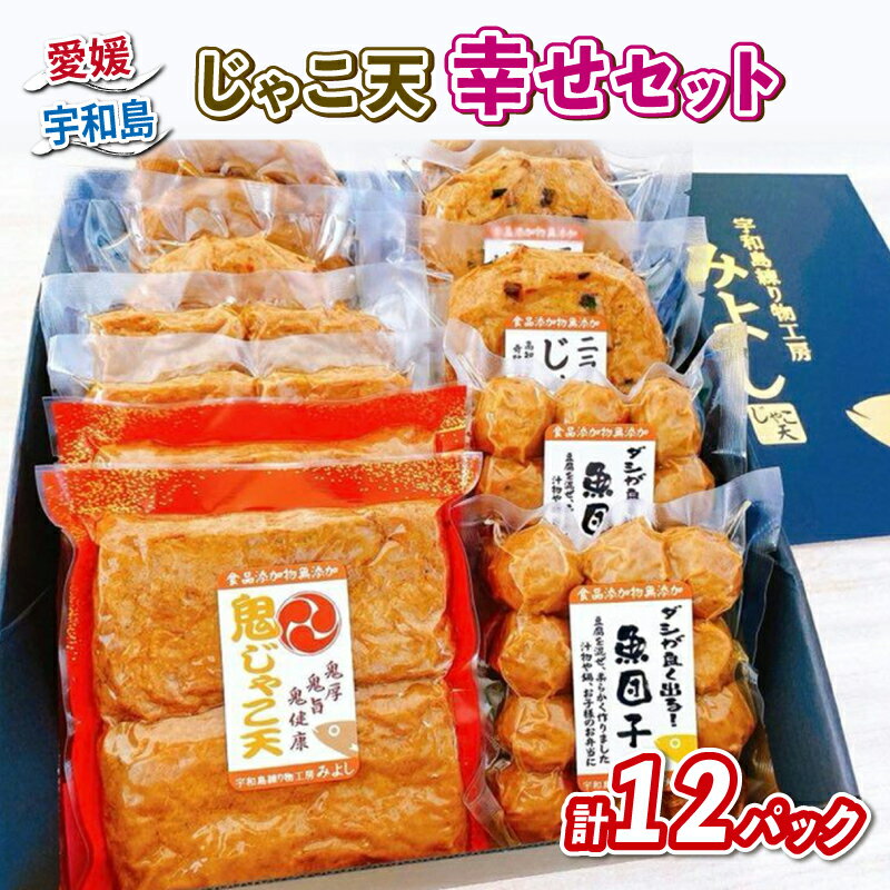 【ふるさと納税】 じゃこ天 幸せセット 宇和島練り物工房みよし じゃこ天 魚団子 野菜天 ニラ生姜天 すり身 練り物 惣菜 出汁 だし 酒 おつまみ 肴 魚肉 ...