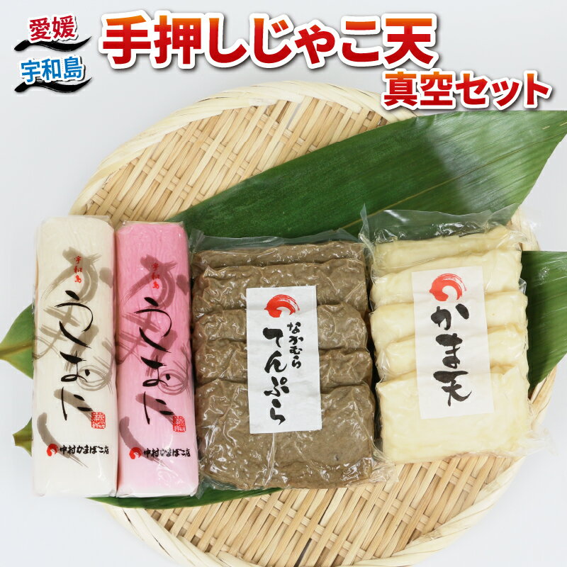 【ふるさと納税】 じゃこ天 真空 セット 中村かまぼこ店 手押しじゃこ天 真空パック 手作り てんぷら 天ぷら かま天 かまぼこ カマボコ 揚げかまぼこ 蒲鉾 ...