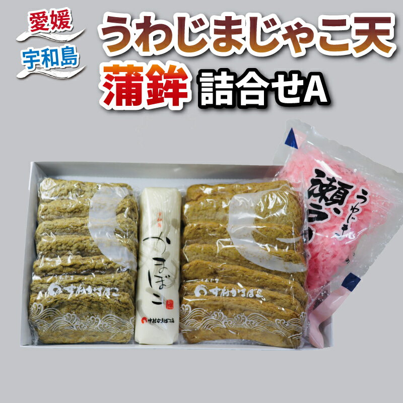 【ふるさと納税】 じゃこ天 天ぷら かまぼこ 蒲鉾 詰め合わせ Aセット 中村かまぼこ店 削り蒲鉾 すり身 練り物 冷蔵 惣菜 フライ てんぷら 天ぷら かま天...