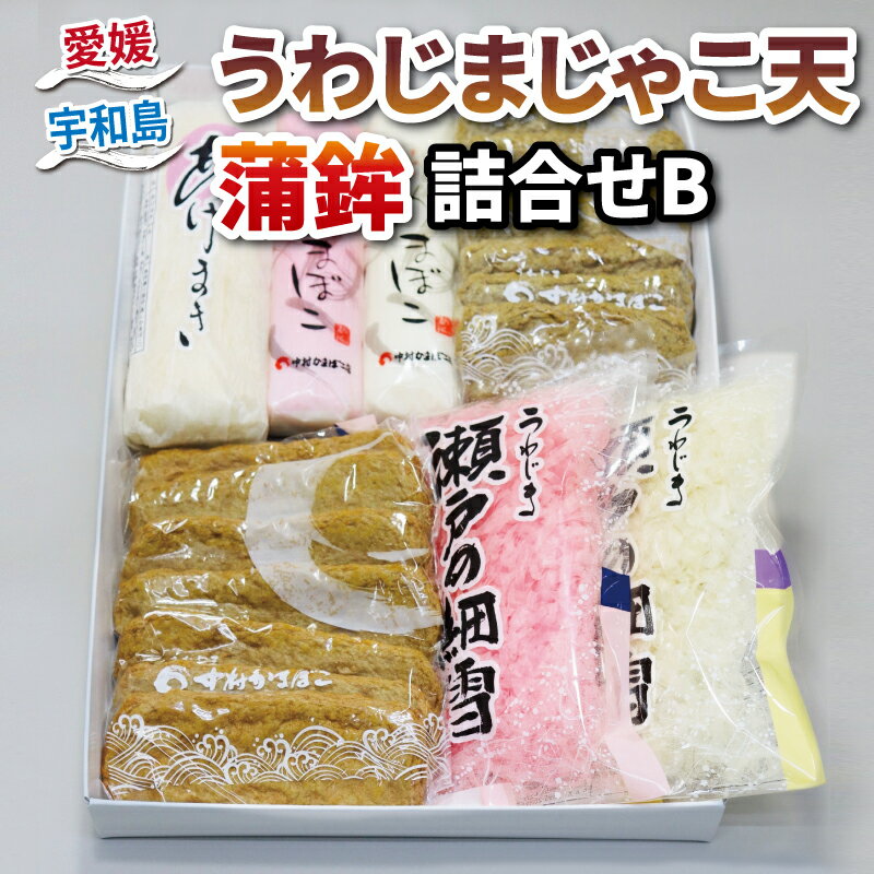 じゃこ天 蒲鉾 詰め合わせ Bセット 中村かまぼこ店 てんぷら 揚巻 上板蒲鉾 削り蒲鉾 紅白 はらんぼ すり身 練り物 冷蔵 惣菜 フライ おでん 具 出汁 だし 小分け 郷土料理 酒 おつまみ 肴 魚肉加工品 特産品 国産 愛媛 宇和島