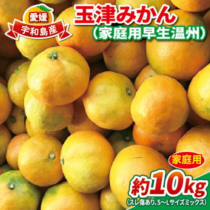 愛媛 みかん 早生 温州 10kg 家庭用 S~L サイズ ミックス 玉津みかん ニュービジネスユニット 果物 フルーツ 柑橘 農家直送 産地直送 数量限定 国産 愛媛 宇和島 B012-058001