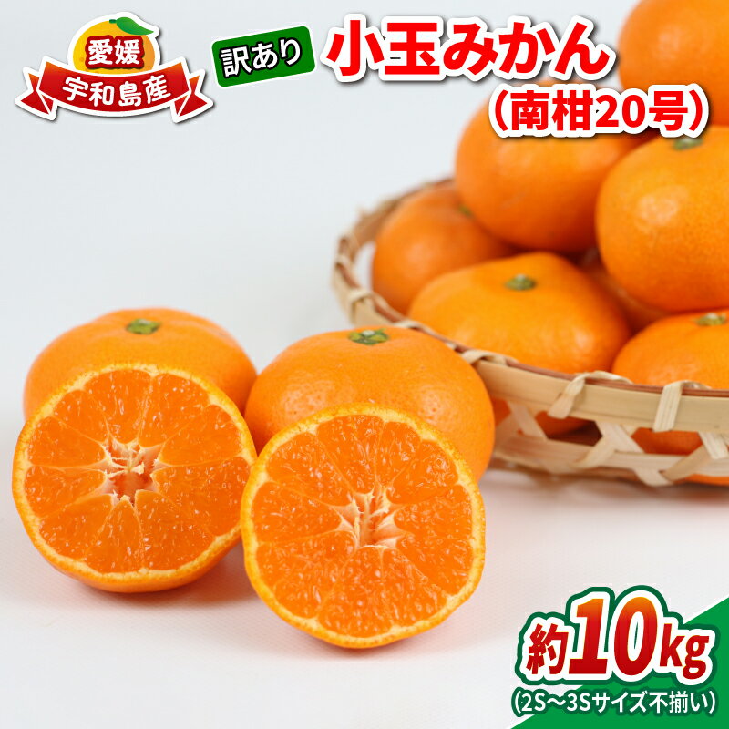 【ふるさと納税】 訳あり 小玉みかん 南柑20号 10kg 2S ~ 3S サイズ不揃い 玉津みかん ニュービジネスユニット 訳アリ 訳あり品 中生 温州みかん 温州 小玉 みかん 小みかん 果物 くだもの フルーツ 柑橘 蜜柑 農家直送 産地直送 数量限定 国産 愛媛 宇和島 B012-058015
