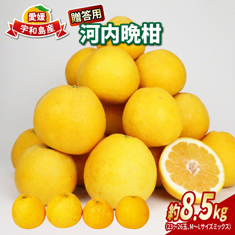 【ふるさと納税】 河内晩柑 贈答用 8.5kg 23～26玉 サイズ ミックス 不揃い 玉津みかん ニュービジネスユニット 晩柑 かわちばんかん 和製 グレープフルーツ 高級 ギフト 贈答品 果物 フルーツ みかん 農家直送 産地直送 数量限定 国産 愛媛 宇和島 B018-058013