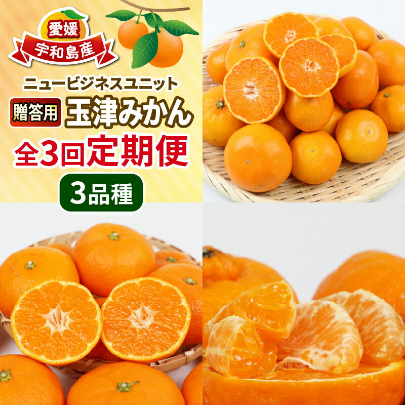 【ふるさと納税】 優品 柑橘 定期便 3回 早生温州 10kg 南柑20号 10kg ポンカン 9kg S~L サイズ ミックス 玉津みかん ニュービジネスユニット 早生 温州 温州みかん 果物 くだもの フルーツ 柑橘 蜜柑 みかん 農家直送 産地直送 数量限定 国産 愛媛 宇和島 B050-058007