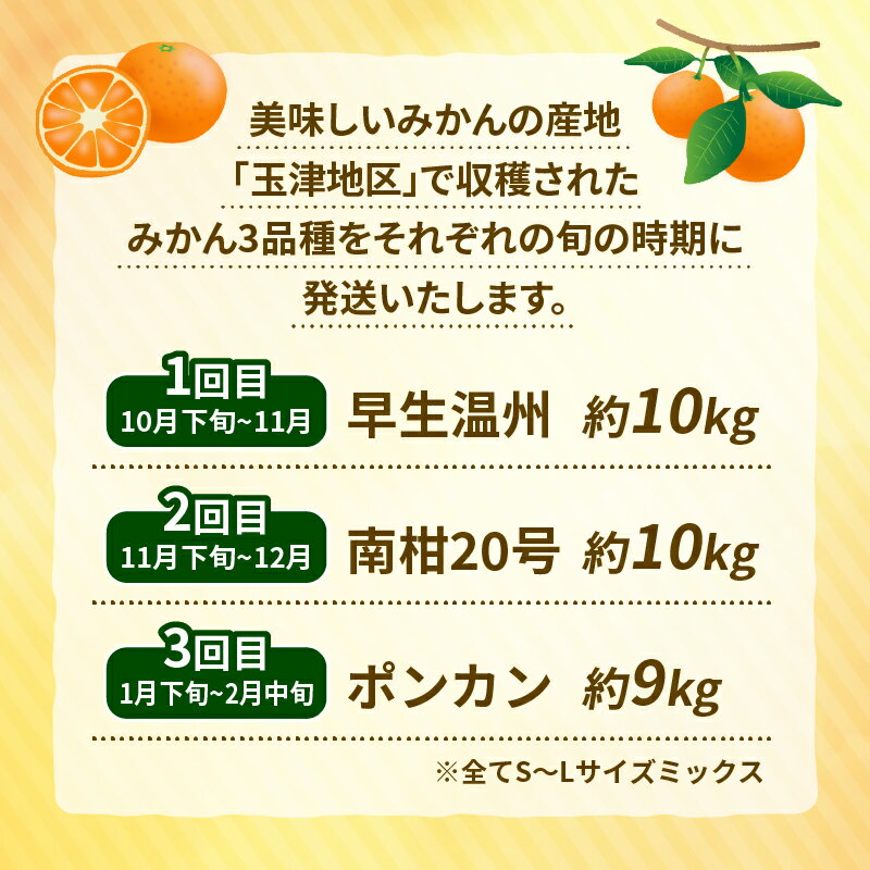 【ふるさと納税】 優品 柑橘 定期便 3回 早生温州 10kg 南柑20号 10kg ポンカン 9kg S~L サイズ ミックス 玉津みかん ニュービジネスユニット 早生 温州 温州みかん 果物 くだもの フルーツ 柑橘 蜜柑 みかん 農家直送 産地直送 数量限定 国産 愛媛 宇和島 B050-058007