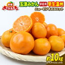 【ふるさと納税】 愛媛 みかん 早生 温州 10kg 家庭用 S~L サイズ ミックス 玉津みかん ニュービジネスユニット 先行予約 早生温州 温州みかん 蜜柑 果物 くだもの フルーツ 柑橘 蜜柑 mikan 愛媛蜜柑 愛媛みかん 農家直送 産地直送 数量限定 国産 宇和島 B015-058001
