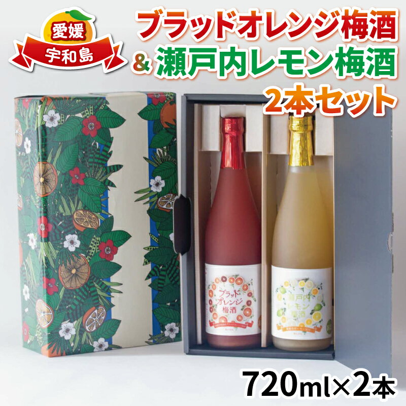 ブラッドオレンジ 梅酒 瀬戸内レモン 梅酒 各1本 -全国梅酒品評会2021金賞（最高位）受賞- 名門サカイ レモン オレンジ 飲み比べ セット 果実酒 柑橘 飲料 お酒 アルコール リキュール 果汁 フルーツ 果物 ギフト 贈答 国産 愛媛 宇和島 I018-085003