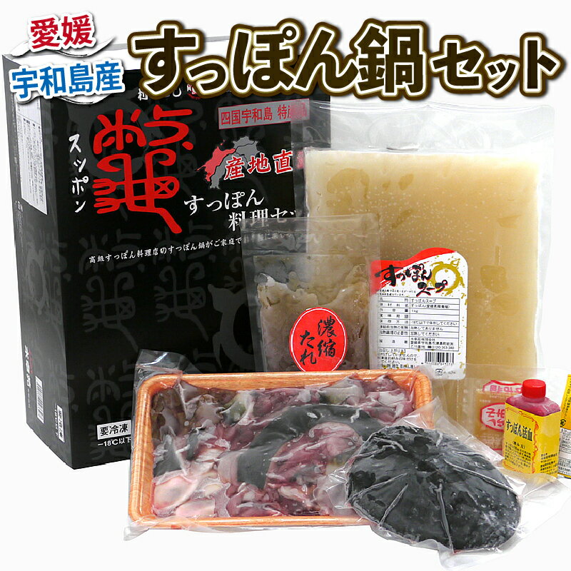 【ふるさと納税】 \10営業日以内発送/ すっぽん 料理 セット 精肉 550g 甲羅 120g たれ エンペラー からし酢みそ 活血 スープ 水幸苑 鍋セット カット済み 切り身 簡単調理 冷凍 濃縮 コラーゲン 美容 疲労回復 スタミナ 雑炊 産地直送 国産 愛媛 宇和島 D035-103006