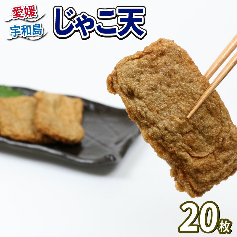 【ふるさと納税】 \10営業日以内発送/ じゃこ天 20枚 詰合せ 森本蒲鉾店 宇和島 すり身 練り物 練物 天ぷら 蒲鉾 かまぼこ 揚げかまぼこ さつま揚げ 冷蔵 惣菜 お弁当 フライ 10枚ずつ 小分け 郷土料理 酒 おつまみ 肴 魚肉加工品 特産品 国産 愛媛 宇和島産 C012-046002