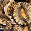 【ふるさと納税】竹中水産の大きめ入り1kg前後「天然活きアワビ(鯛もしくはアジとセット) 」【H22-220】【配送不可地域:離島・北海道・沖縄県】【10431...