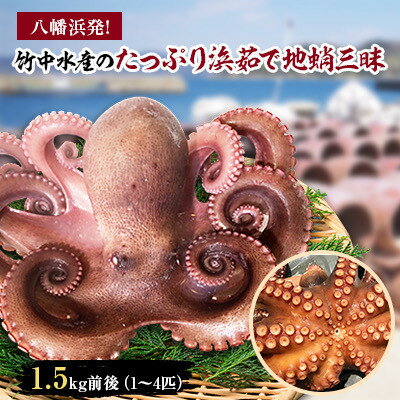 【ふるさと納税】八幡浜発!竹中水産のたっぷり「浜茹で地蛸」三昧!1.5kg前後【F22-189】【配送不可地...