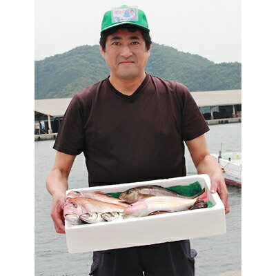 【ふるさと納税】無添加・天日干しピチピチ朝獲れ鮮魚の一夜干し13枚セット【H26-4】【配送不可地域：離島】【1044325】