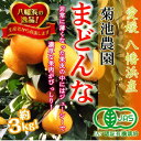 【ふるさと納税】【JAS認証有機栽培】こんな柑橘初めて‼プルプル新食感‼「まどんな」約3kg【C39-25】【1044609】
