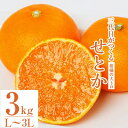 【ふるさと納税】三代目がつくる柑橘の大トロ【せとか】3kg【C31-6】【1071620】