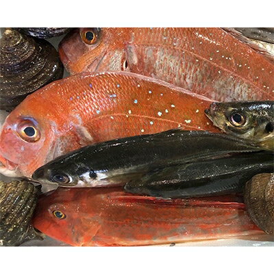 名称 竹中水産の一押し「お手軽鮮魚2」2キロ前後【D22-236】 保存方法 冷蔵 発送時期 お申込後1〜2週間程度で順次発送　※水揚げ次第となりますので発送までにお時間を頂戴する場合がございます。 提供元 有限会社　竹中水産 配達外のエリア 離島、北海道、沖縄県 お礼品の特徴 宇和海で獲れた八幡浜港の鮮魚を皆様の食卓へお届け致します。とにかく一度お試しください! こちらの企画はその時のタイミングでお任せください。煮付け、お刺身、焼き物等、竹中水産にお任せあれ! 笑顔のある食卓を目指して厳選致します。2キロ前後が目安です。 獲れる海域は関鯵で有名な宇和海です。 メバルやホゴ、イトヨリ煮付けもオススメです。ホーボーは薄造りでお試しください。 ■内容量/原産地 原産地:八幡浜市 (天然物【(鯛、イトヨリ、真鯵、サゴシ、サザエ、太刀魚、ホゴ、メバル、コウイカ、カワハギ、ホーボー等】2キロ前後) ■消費期限 出荷日+4日 ■注意事項/その他 ※水揚げ物につき到着後は早めにお召し上がりください。 ※又、天候等により直ぐにご用意できない場合がありますので予めご理解ください。 ※お魚の種類はお任せとなります。 ※画像はイメージです。 ・ふるさと納税よくある質問はこちら ・寄附申込みのキャンセル、返礼品の変更・返品はできません。あらかじめご了承ください。このお礼品は以下の地域にはお届けできません。 ご注意ください。 離島、北海道、沖縄県