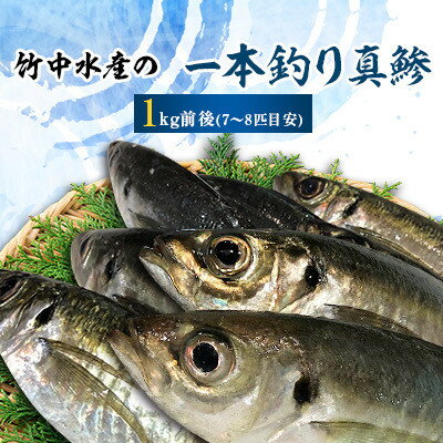 竹中水産の一本釣り真鯵!1キロ前後[C22-238][配送不可地域:離島・北海道・沖縄県・東北・関東・信越、北陸・東海・九州]