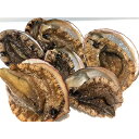 【ふるさと納税】竹中水産の天然小アワビ、殻付きのままでバター焼き800g前後(7~10個目安)【G22-247】_ 鮑 あわび アワビ 活きあわび 魚介 魚介類 海鮮 天然 活き 鮮魚 小ぶり 食べやすい バター焼き 冷蔵 BBQ 殻付【配送不可地域:離島・北海道・沖縄県】【1073904】
