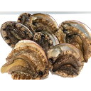 【ふるさと納税】竹中水産の天然小アワビ、殻付きのままでバター焼き1.2kg前後(10〜15個目安)【H22-248】【配送不可地域:離島・北海道・沖縄県】【10...