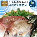 【ふるさと納税】竹中水産の当地自慢の鮮魚2種「真鯵と天鯛」!約1キロセット!(宇和海産)【C22-255】【配送不可地域：離島・北海道・沖縄県】【1073912】