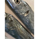 【ふるさと納税】竹中水産の「釣の太刀魚」　約2キロ!【F22-264】【配送不可地域：離島・北海道・沖縄県】【1078740】