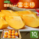 【ふるさと納税】《八幡浜特産 国内最大級の 柿》 富士柿 10kg【D20-2】_ 柿 国産 フルーツ 果物 くだもの 人気 大きい 愛媛 旬 産地直送 産直 ...