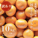 【ふるさと納税】【創業85年 親子4代 愛媛みかん 一筋】訳あり 愛媛みかん 10kg【C20-12】_ 訳アリ わけあり ワケアリミカン みかん フルーツ 果...
