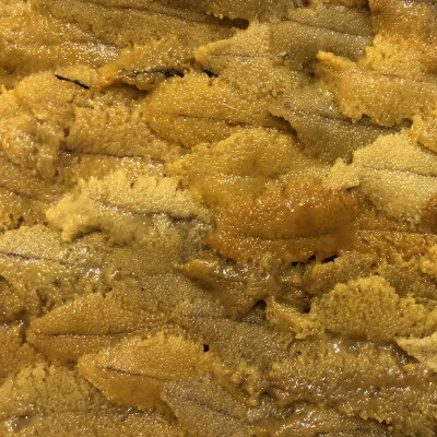 【ふるさと納税】八幡浜発!竹中水産の「宇和海産上質お手軽生ウニ」3枚セット!【G22-219】_ ウニ うに 生うに 魚介 魚介類 海鮮 冷蔵 愛媛 八幡浜 産...