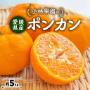 【ふるさと納税】小林果園のポンカン(約5kg)【C24-18】_ みかん ミカン 柑橘 ポンカン ぽんかん フルーツ くだもの 果物 ふるーつ 青果 果実 甘い ジューシー 産直 産地直送 旬 柑橘類 人気 愛媛 果汁 八幡浜市 【1124424】