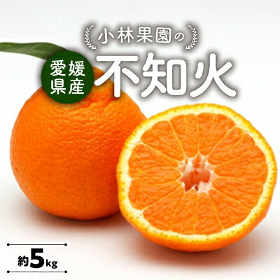 【ふるさと納税】小林果園の不知火
