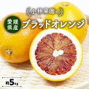 【ふるさと納税】小林果園のブラッドオレンジ(約5kg)【C24-24】【1124430】