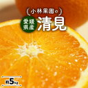 【ふるさと納税】小林果園の清見(約5kg)【C24-25】_ みかん ミカン 柑橘 清見 きよみ フルーツ くだもの 果物 ふるーつ 青果 果実 甘い ジューシー 産直 産地直送 旬 柑橘類 人気 愛媛 果汁 八幡浜市 【1124431】