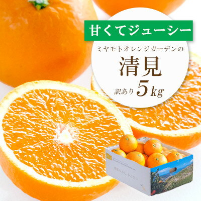 【ふるさと納税】ミヤモトオレンジガーデンの「清見5kg」【訳あり】【C25-138】【配送不可地域：離島...