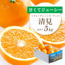 【ふるさと納税】ミヤモトオレンジガーデンの「清見5kg」【訳あり】【C25-138】【配送不可地域：離島】【1138006】