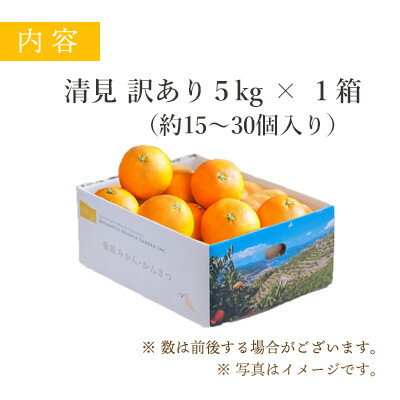 【ふるさと納税】ミヤモトオレンジガーデンの「清見5kg」【訳あり】【C25-138】【1138006】