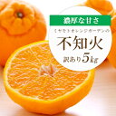 【ふるさと納税】【2026年2月以降発送】デコポンと同品種 濃厚柑橘 不知火5kg【訳あり】【C25-139】_ 訳アリ みかん ミカン しらぬい 愛媛県 フルーツ 果物 くだもの 柑橘 かんきつ 人気 産地直送 産直 ジューシー 甘い 果汁 糖度 甘い 【1138007】