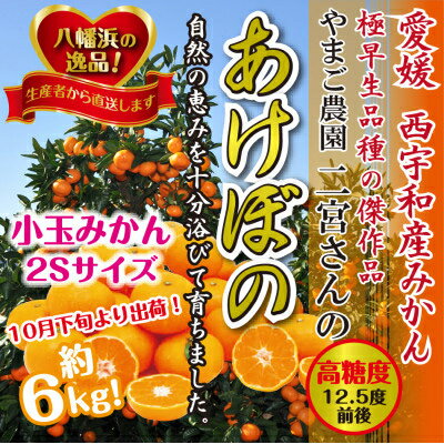 濃厚!やまご農園の「あけぼの小玉」約6kg[C39-21][配送不可地域:離島・北海道・沖縄県]