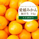 【ふるさと納税】西宇和地区産 愛媛みかん大玉9kg(極早生)