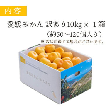 【ふるさと納税】ミヤモトオレンジガーデンの愛媛みかん10kg【訳あり】【C25-45】【1149010】